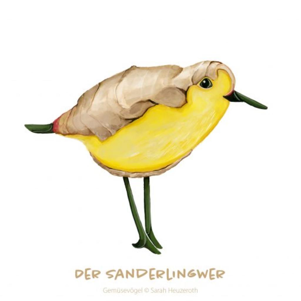 Postkarte Gemüsevögel Sanderlingwer Illustration
