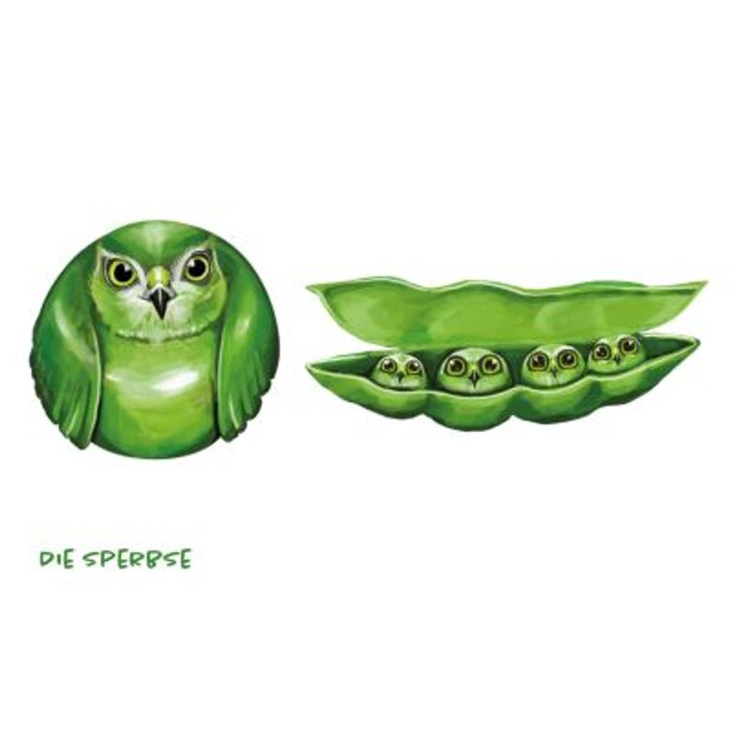 Postkarte Gemüsevögel Sperbse Illustration