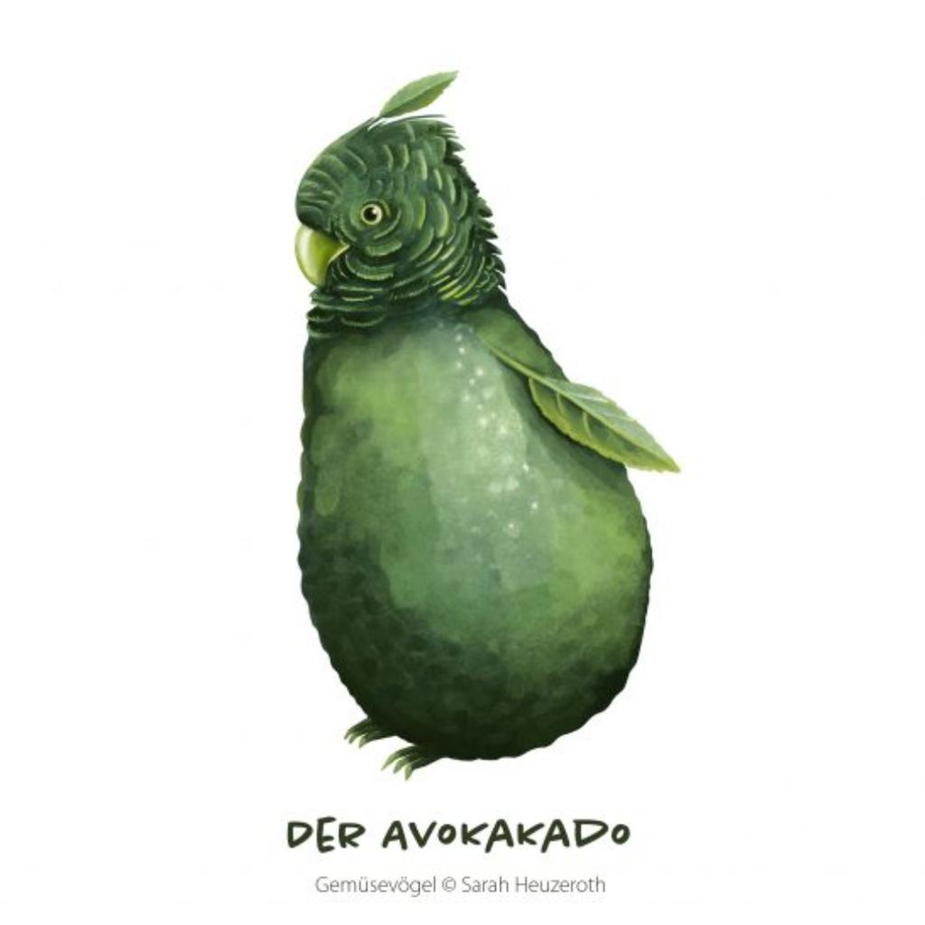 Postkarte Gemüsevögel Avokakado Illustration