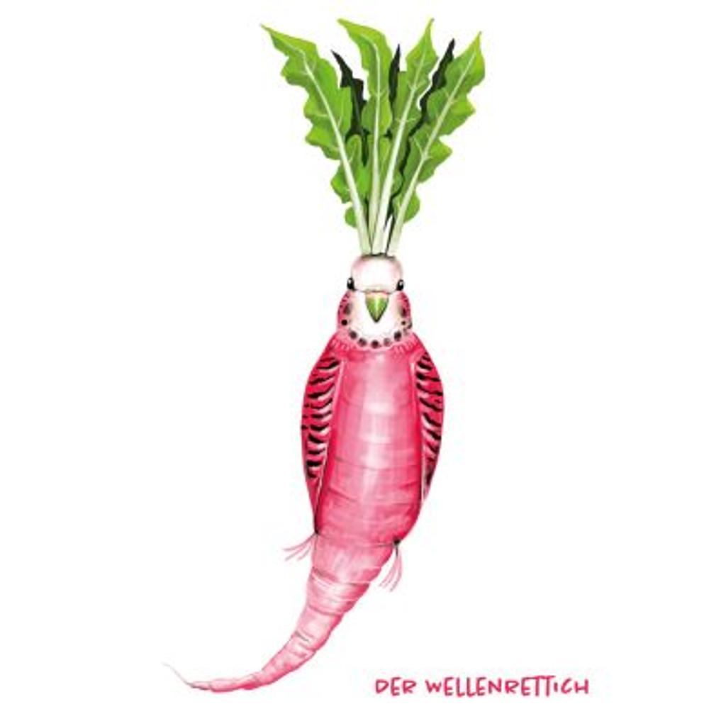 Postkarte Gemüsevögel Wellenrettich Illustration