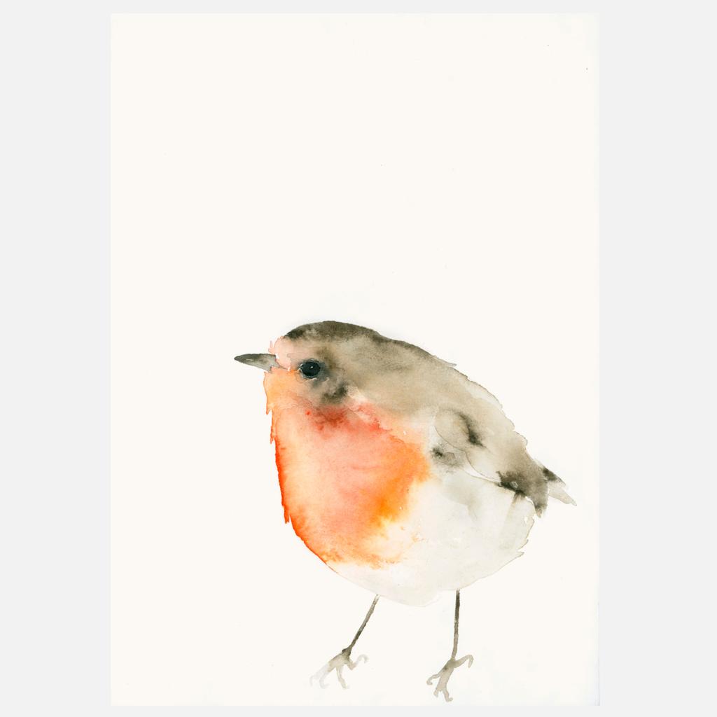 Postkarte Rotkehlchen Illustration