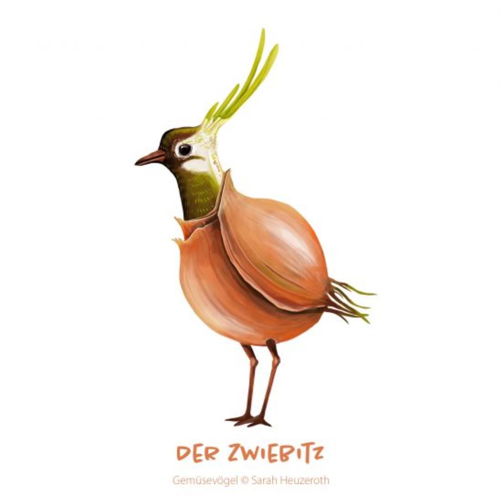 Postkarte Gemüsevögel Zwiebitz Illustration
