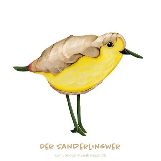 Postkarte Gemüsevögel Sanderlingwer Illustration