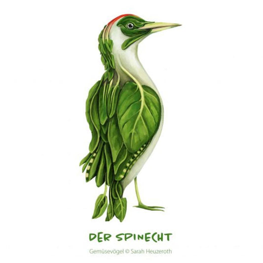 Postkarte Gemüsevögel Spinecht Illustration