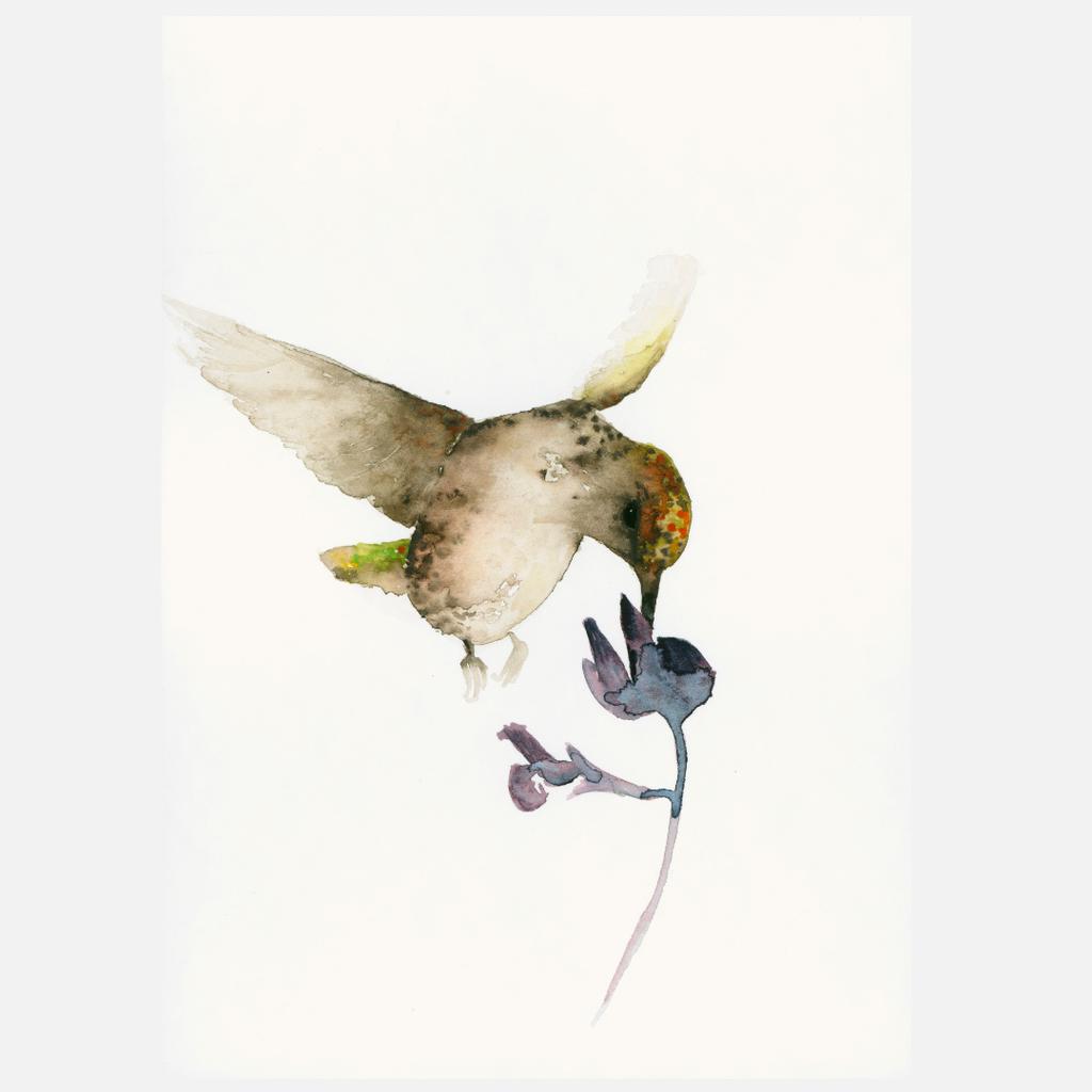 Postkarte Kolibri und Blume Illustration