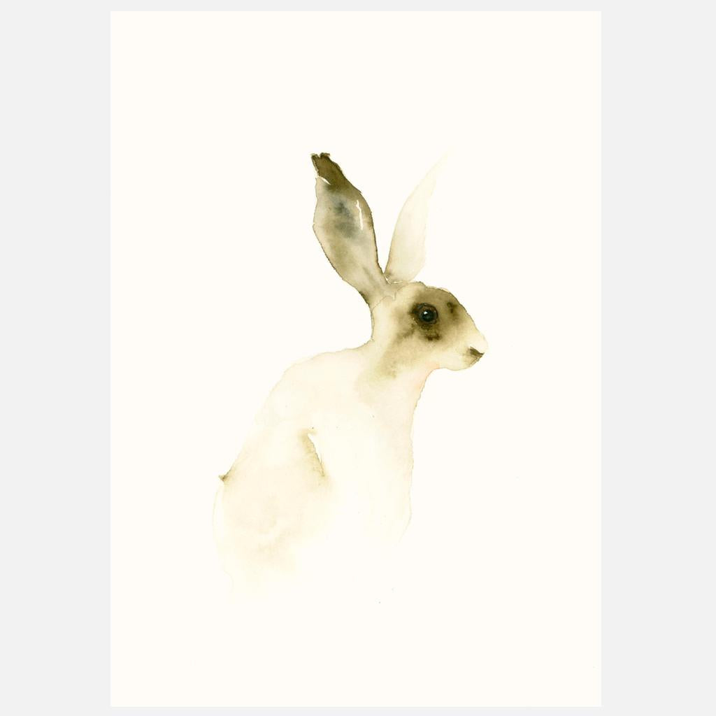 Postkarte Hase Illustration