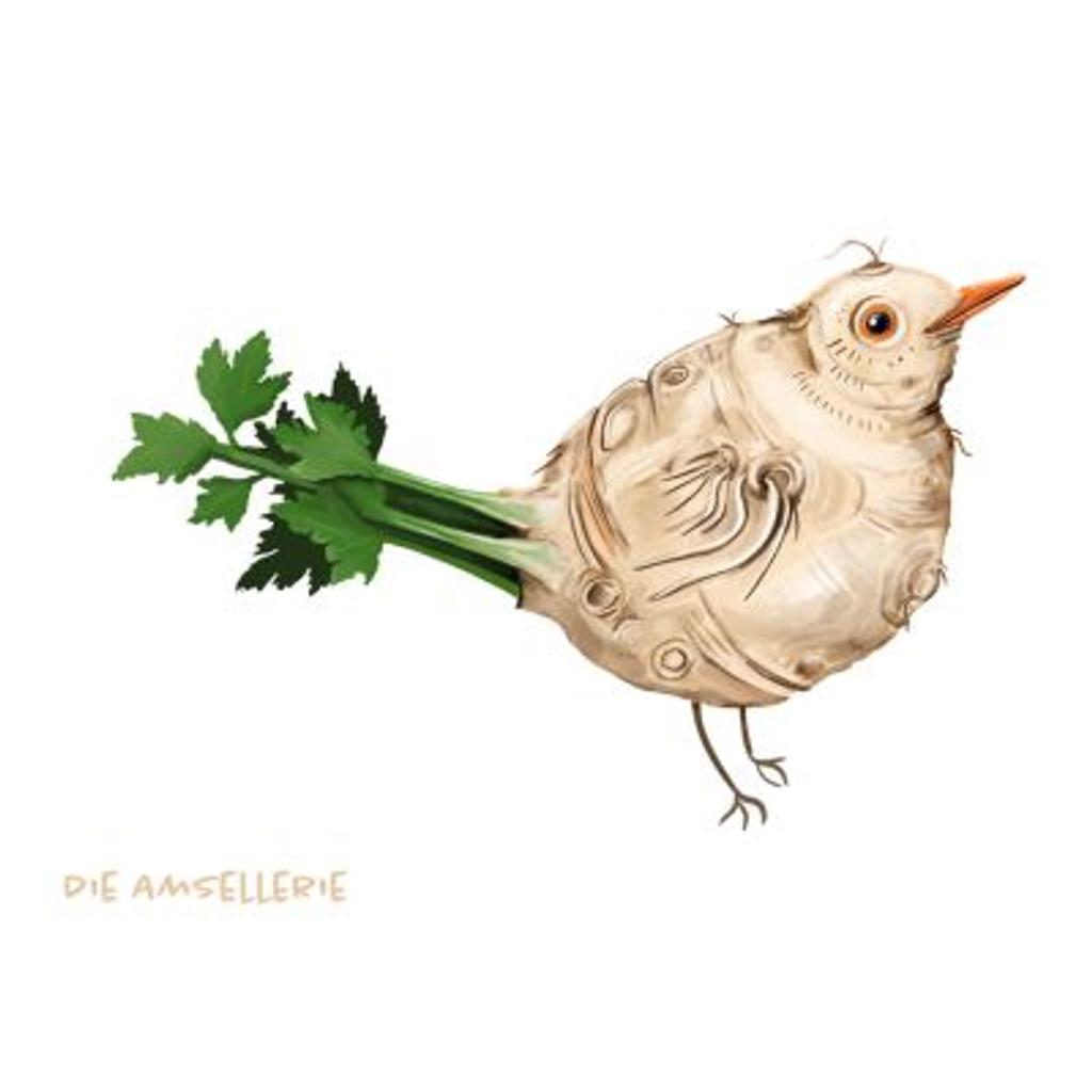 Postkarte Gemüsevögel Amsellerie Illustration