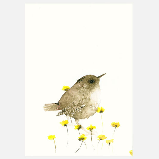 Postkarte Zaunkönig Illustration