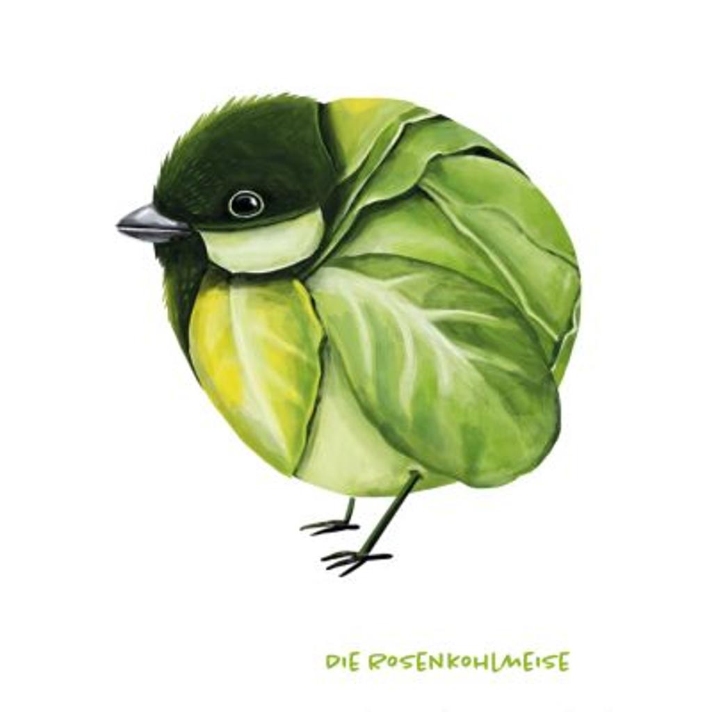 Postkarte Gemüsevögel Rosenkohlmeise Illustration