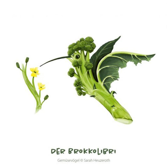 Postkarte Gemüsevögel Brokkolibri Illustration