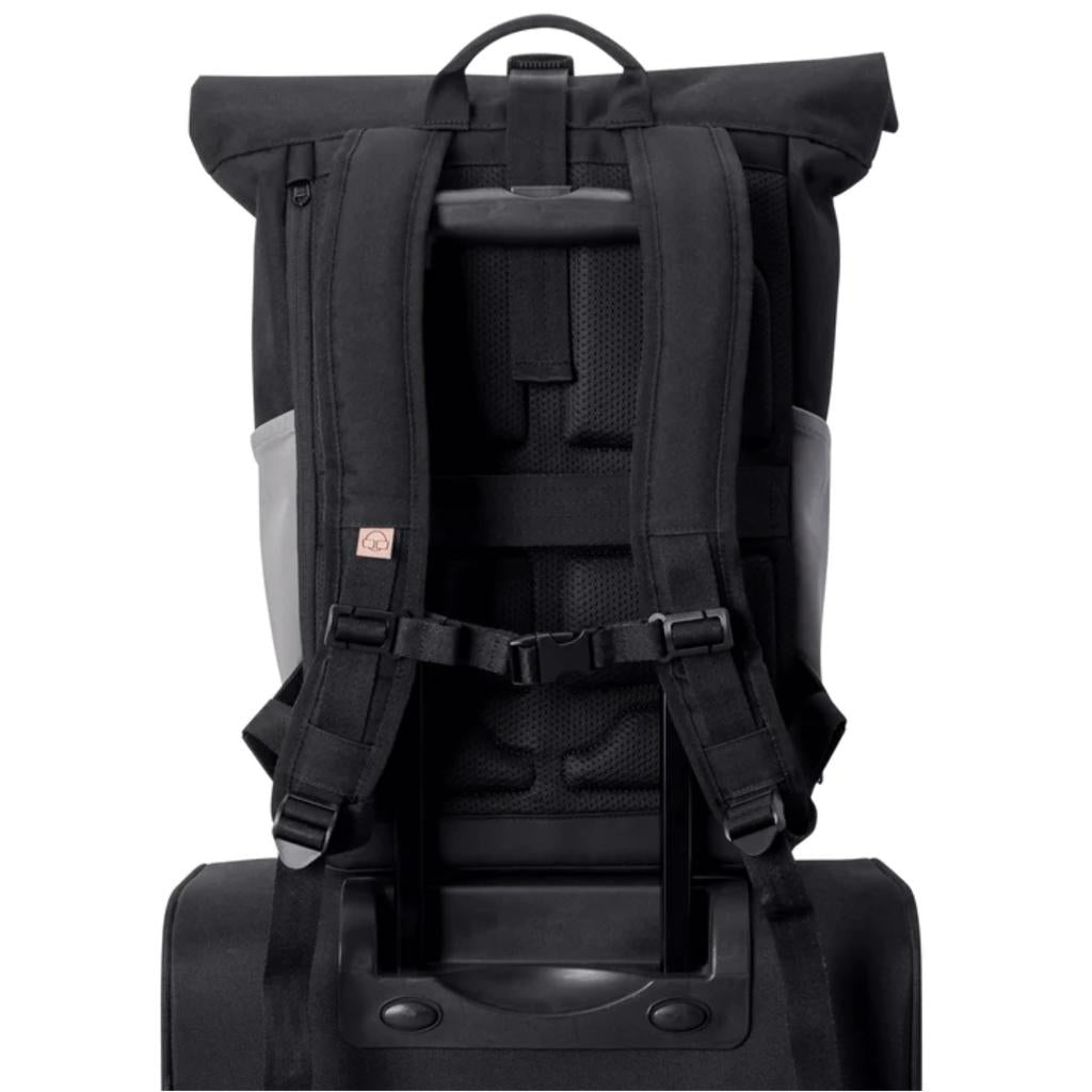 JOHNNY URBAN Rolltop Rucksack ALLEN MEDIUM schwarz/rosa