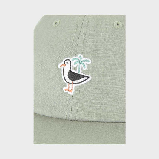 PICTURE ORGANIC CLOTHING Cap PAXSTON greenspray