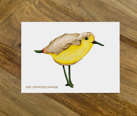 Postkarte Gemüsevögel Sanderlingwer Illustration