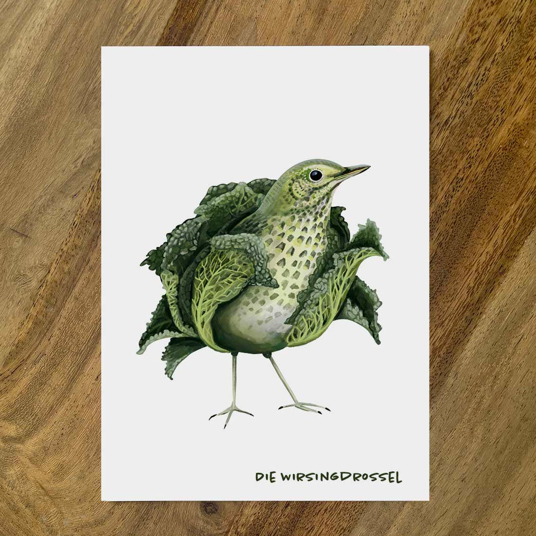 Postkarte Gemüsevögel Wirsingdrossel Illustration