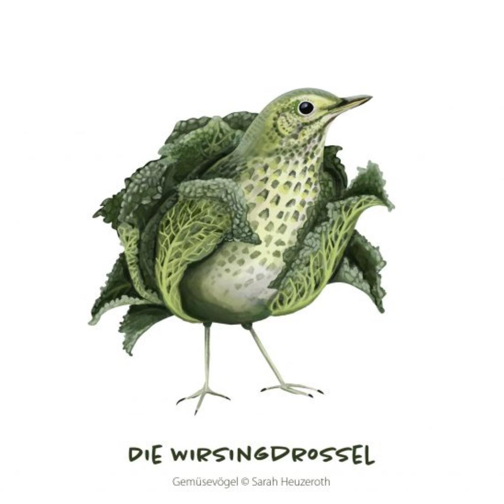 Postkarte Gemüsevögel Wirsingdrossel Illustration